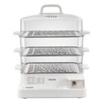 Electric Steamer